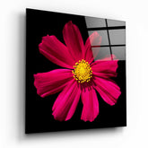 Red Flower Glass Wall Art.